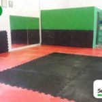 Academia de Artes Marciais de São Lourenço da Serra “Mestre Floreal Cruañes”