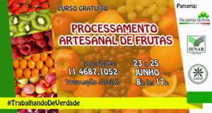 Curso gratuito - Processamento Artesanal de Frutas